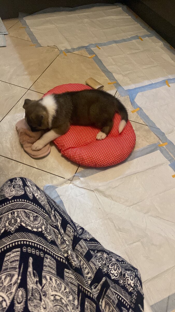 Пол заселен практически весь... ожидая его "необходимые" моменты