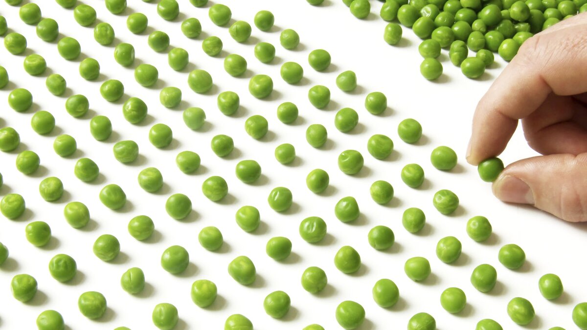 Источник : Яндекс - картинки