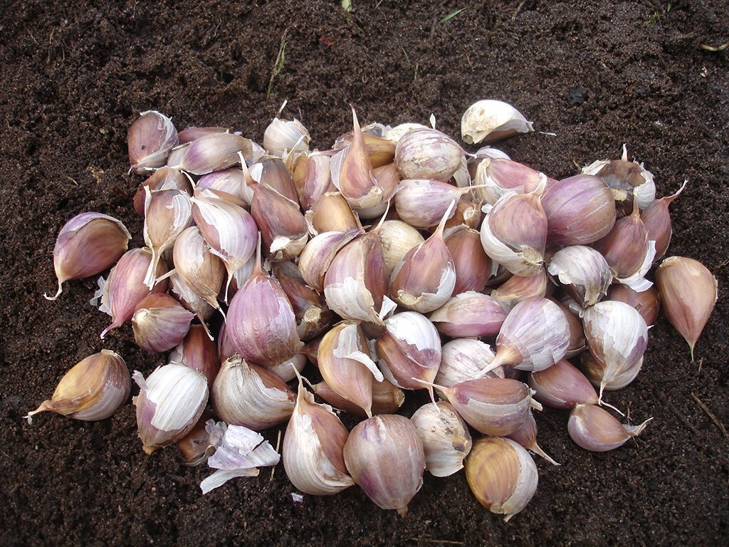 Из архива.