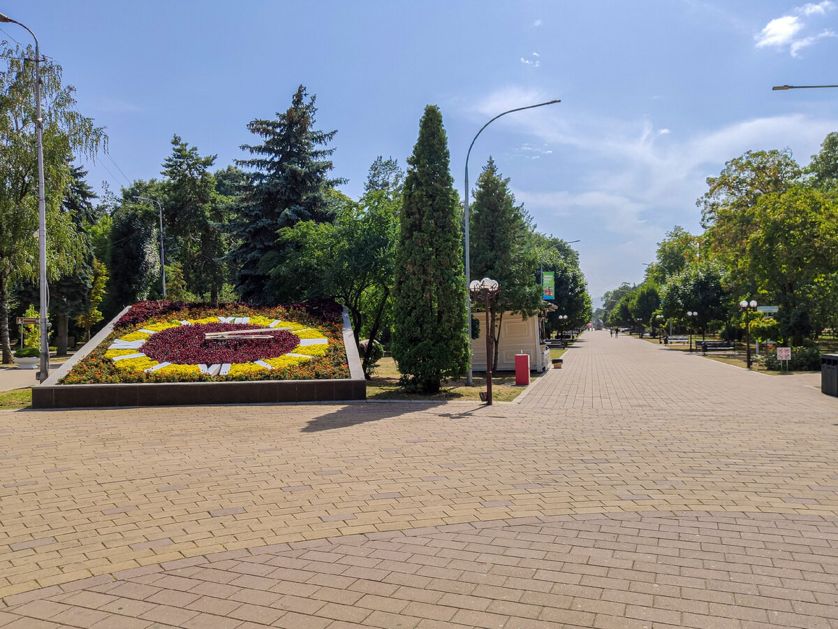 Атажукинский сад - один из самых больших парков на Северном Кавказе | Южная  жизнь | Дзен