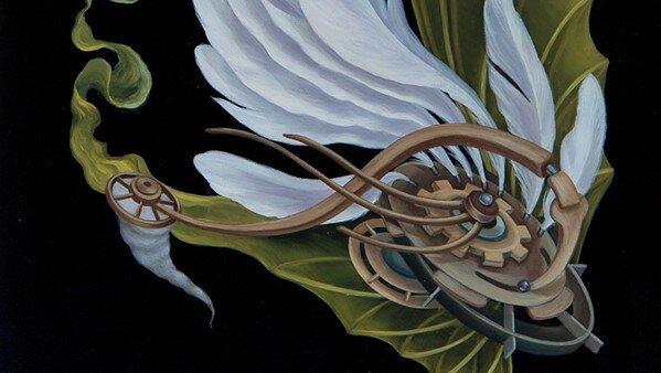 Heidi Taillefer