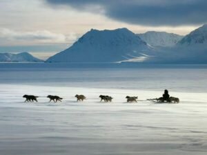    Фото: chukotka.arbitr.ru Андрей Пунегов