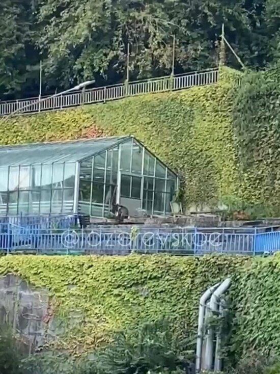     скриншот видео телеграм-канала «Лазаревское»/t.me/Lazarevskoe