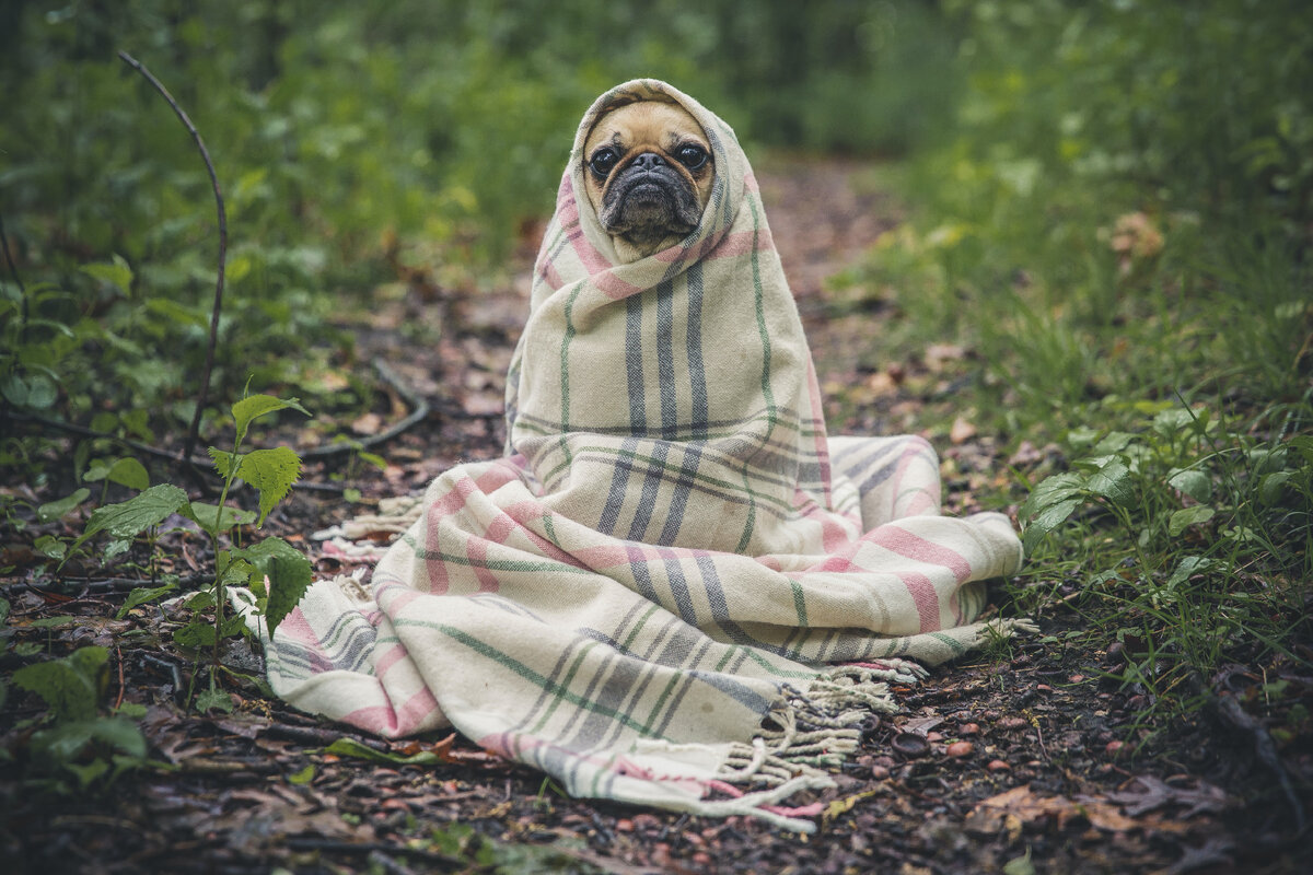 Изображение из фотобанка unsplash.