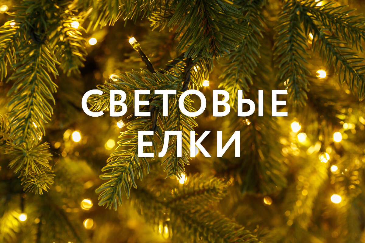 На фото хвоя световой ели "Валерио" Премиум производства GreenTrees крупным планом.