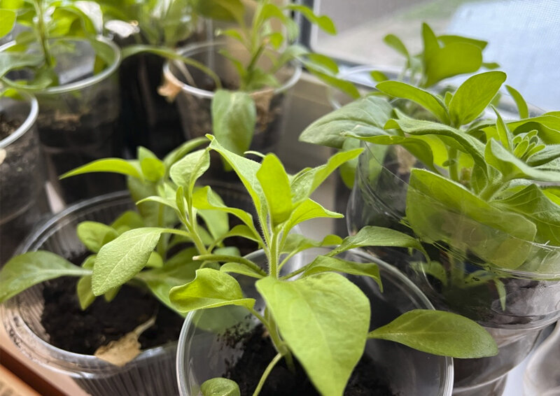 Фото © «Московская газета»