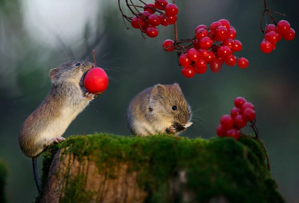 Фотография Вадима Трунова. Яндекс.Картинки