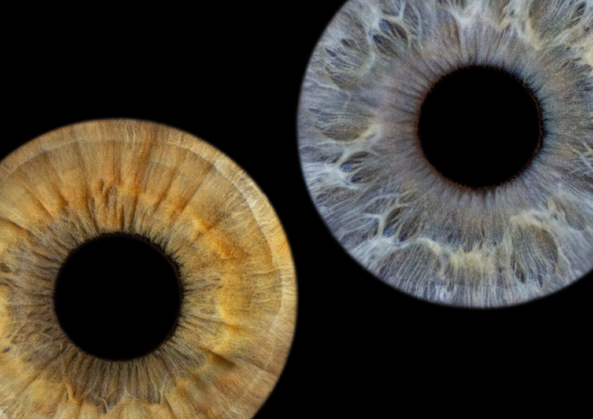 На фото: примеры фоторабот