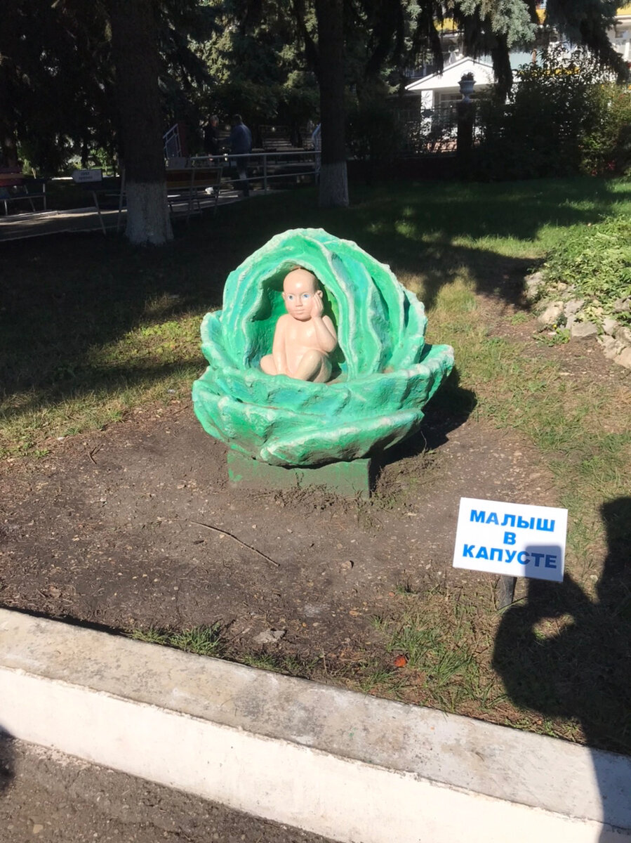 Малыш в капусте. И табличка с подписью рядом, вдруг кто не понял, что это именно капуста и в ней совершенно точно малыш, а не Карлсон. Хотя, не исключено, что это сын Карла, кротёнок знает?