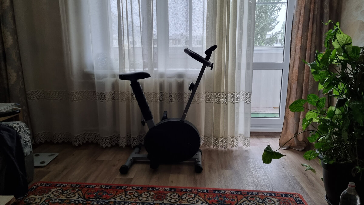 Вот такой аппарат был вытащен с гаража, в дни когда нет прогулок сижу и кручу по мере сил =)