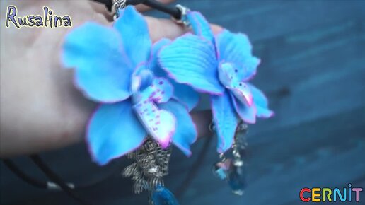 Голубая (синяя) орхидея