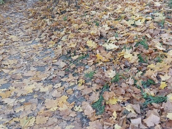     фото: мария ледовская