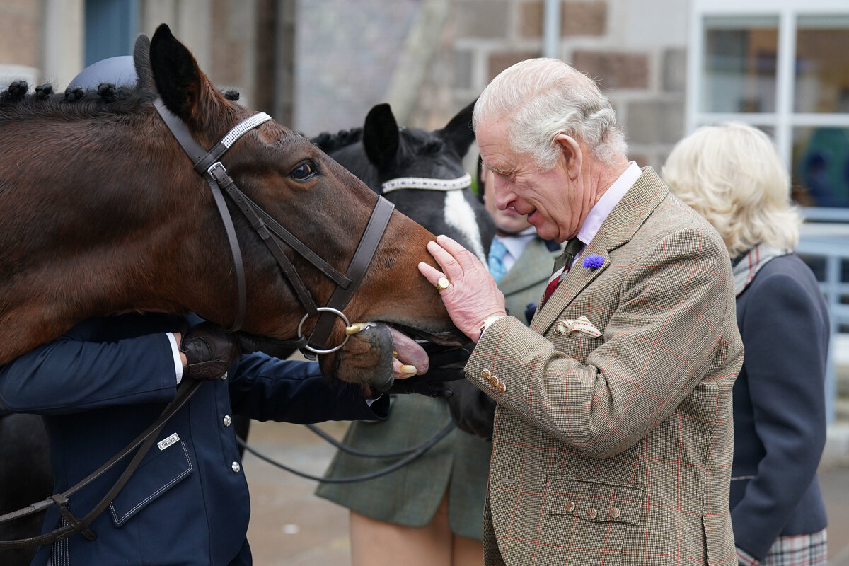     «Это будет настоящим позором»: Карл III распродает любимых животных Елизаветы II