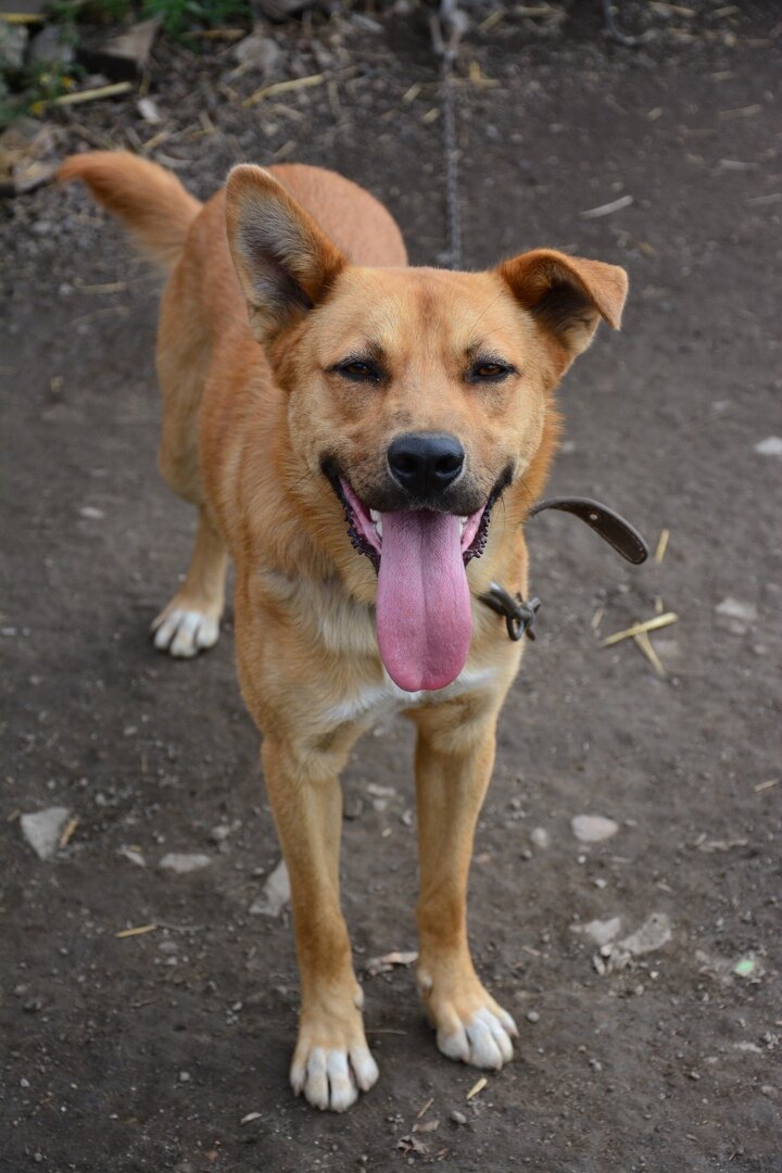 Марлик в 2018 году