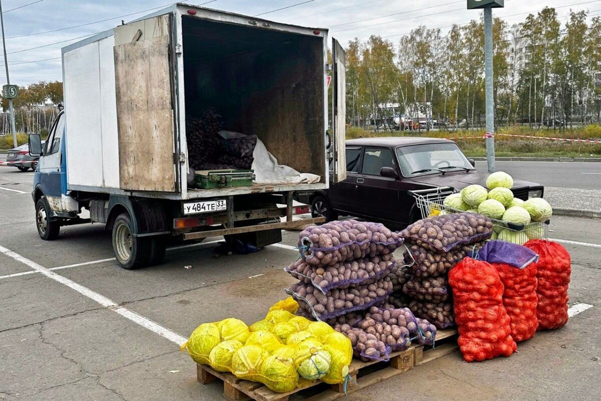    Во Владимире у гипермаркетов «Глобус» и «Лента» работают овощные ярмарки