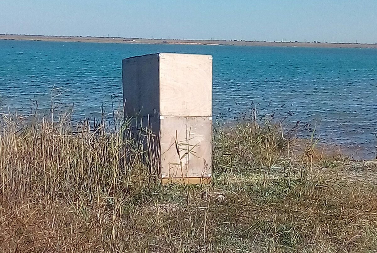 Отхожее место сооруженное дикарями в 2-3 х мертах от озера.