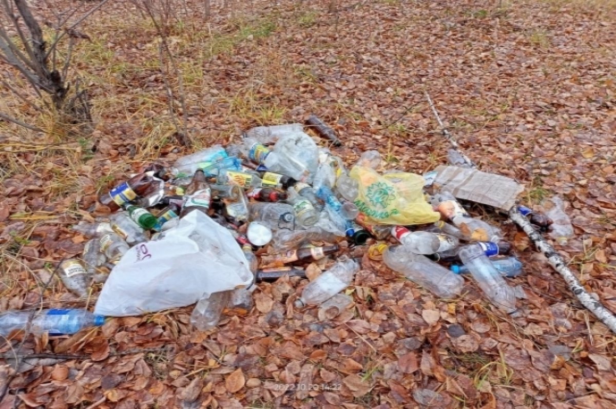    В Новосибирске две недели не вывозят собранный в аллее мусор