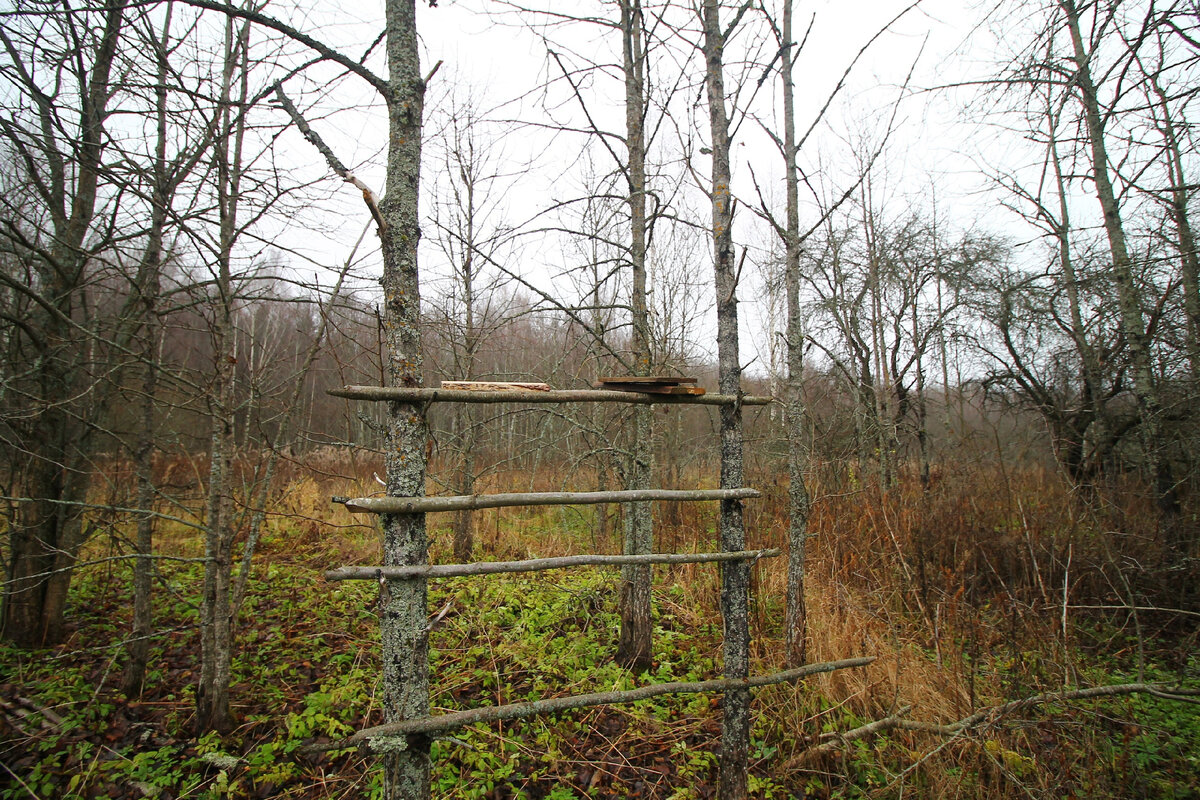 Это браконьерская засидка