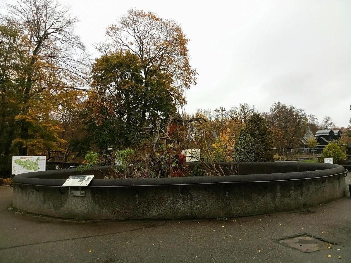 Фото: Дарья Мошникова