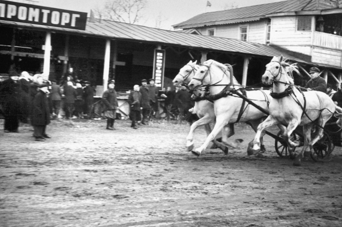    Соревнования по рысистым бегам всегда привлекали пензенцев.