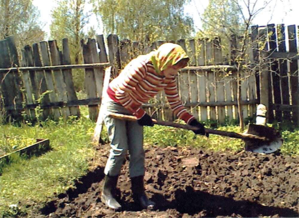 На даче с лопатой картинки