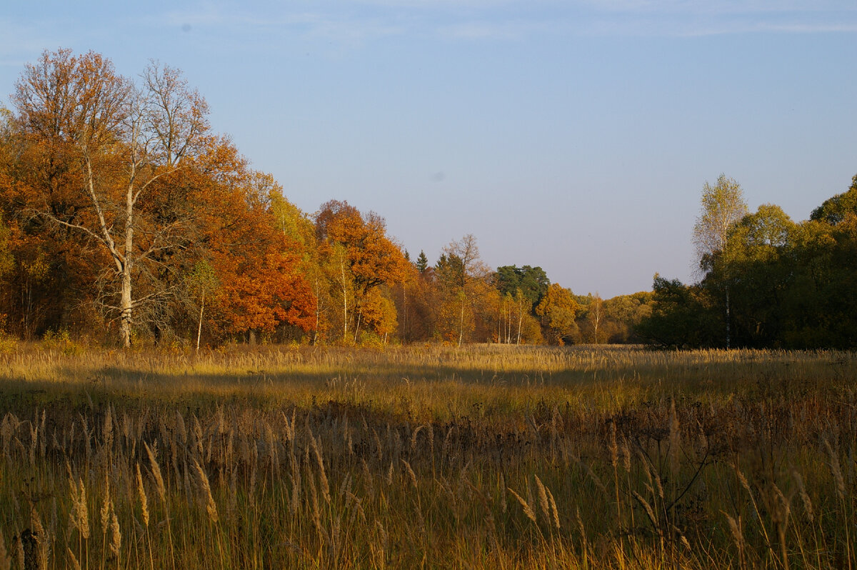 Бывало и такое. Архивы всё помнят! (фото И.Лебединского)