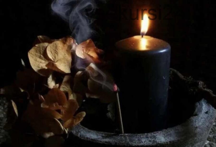 Из Интернета