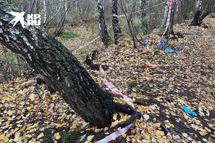 На тело подростка днем в воскресенье случайно наткнулся житель многоэтажки на востоке Москвы
Фото: Александр РОГОЗА/msk.kp.ru