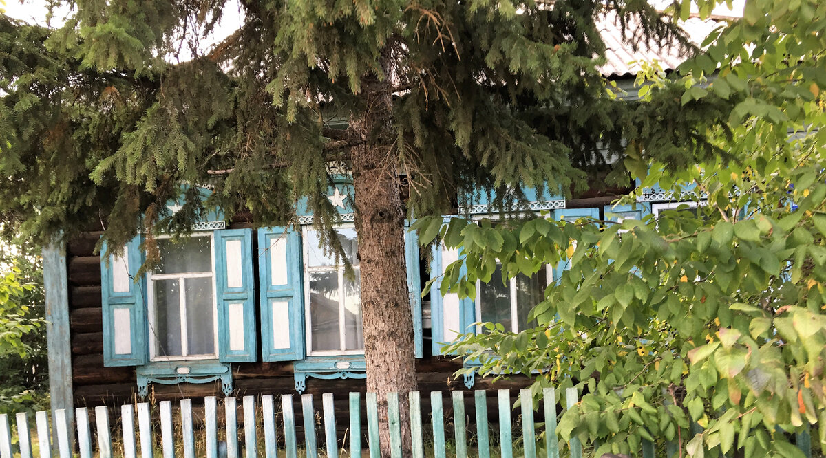 Наш домик с елкой в палисаднике