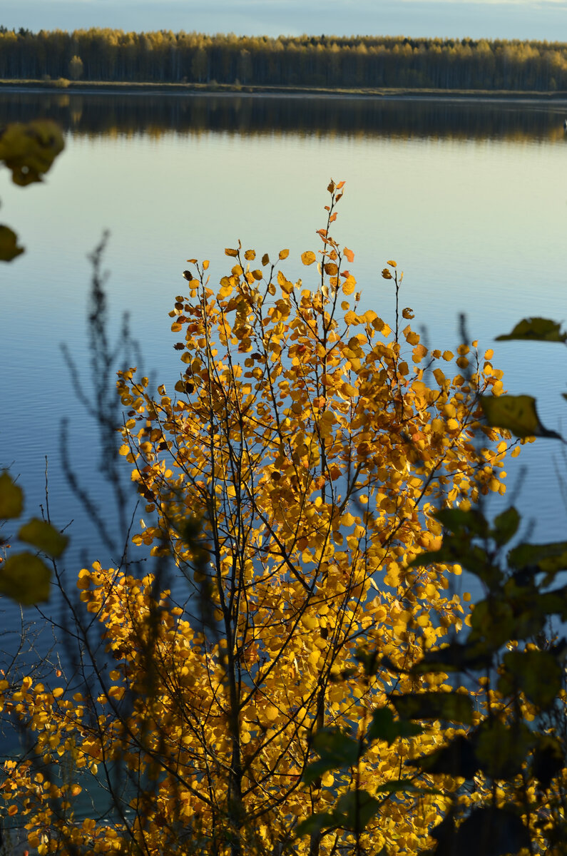 Фото из личного архива