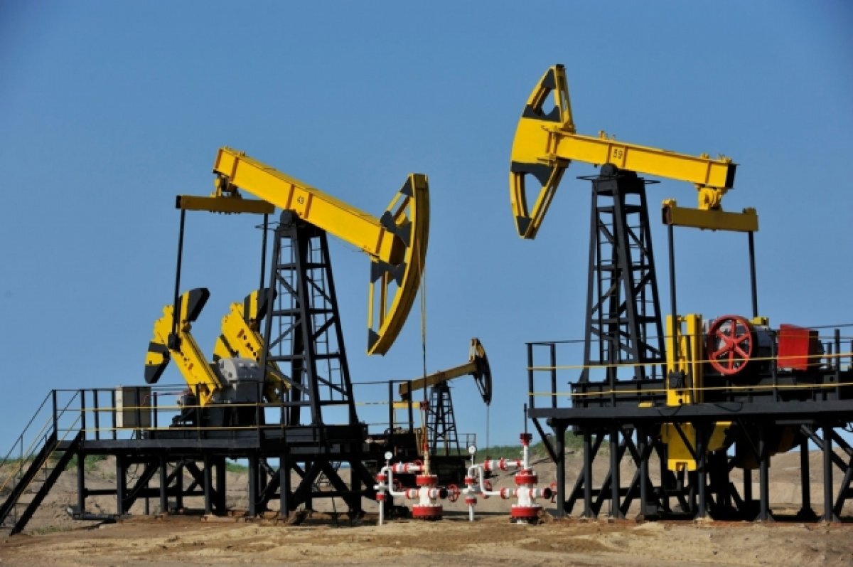   В ЕС предложили РФ продавать нефть дешевле в обмен на страхование доставки