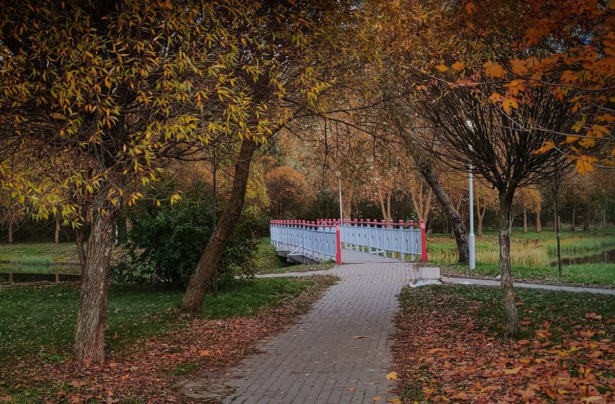 Осенние аллеи