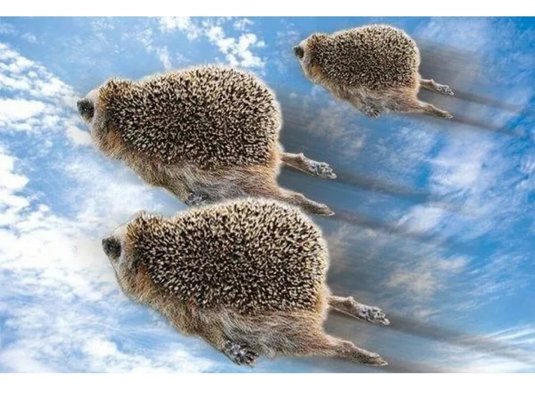 Картинка из Яндекс.Картинки