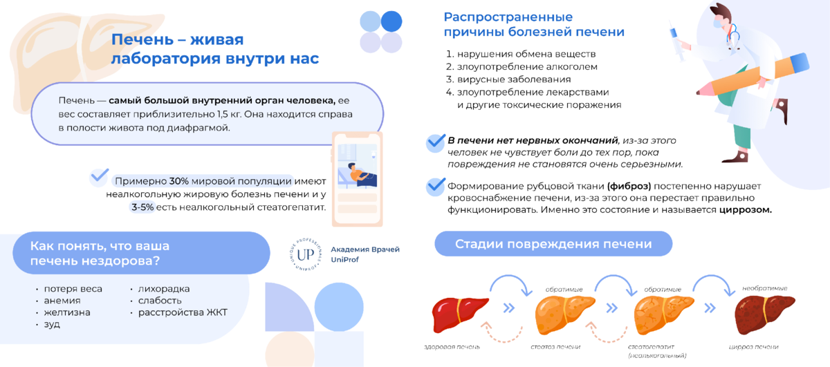 Схема лечения жирового гепатоза. Превращение Глюкозы при заболеваниях печени. Упражнения при гепатозе печени. Как лечить жировой гепатоз печени у женщин.