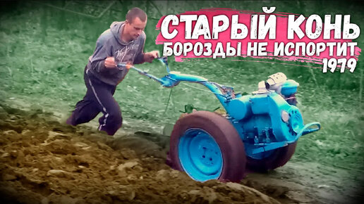 gardenstock ru интернет магазин мотоблоки цены