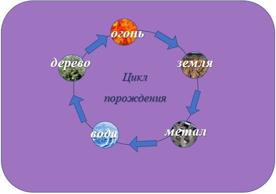 Цикл порождения