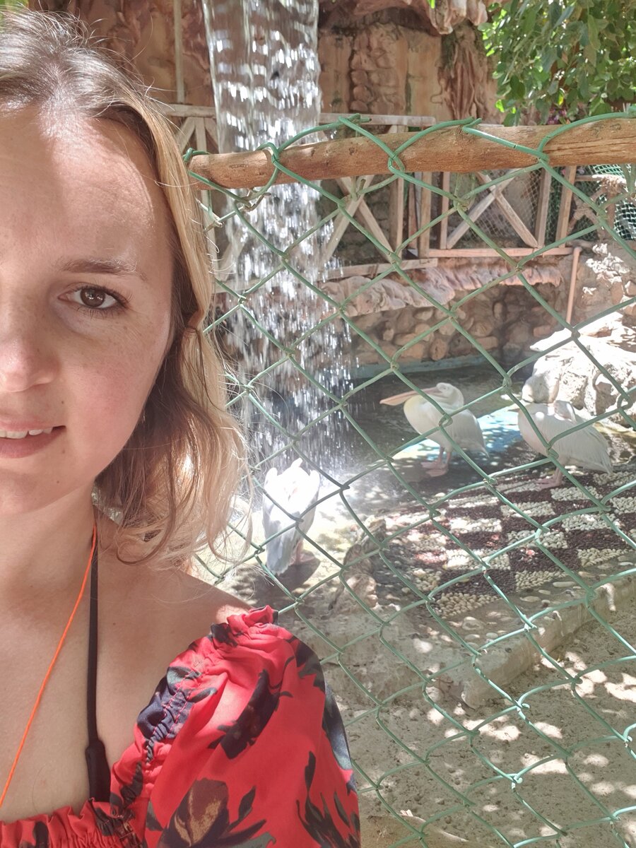 Как в клетке