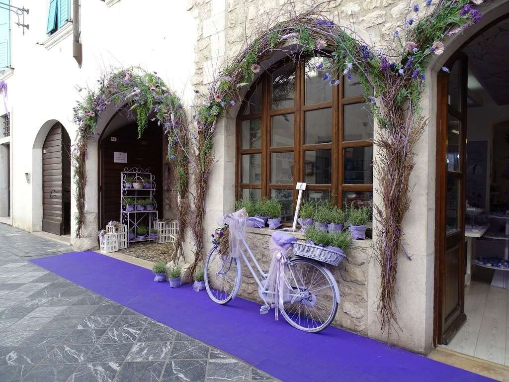 яндекс-картинки