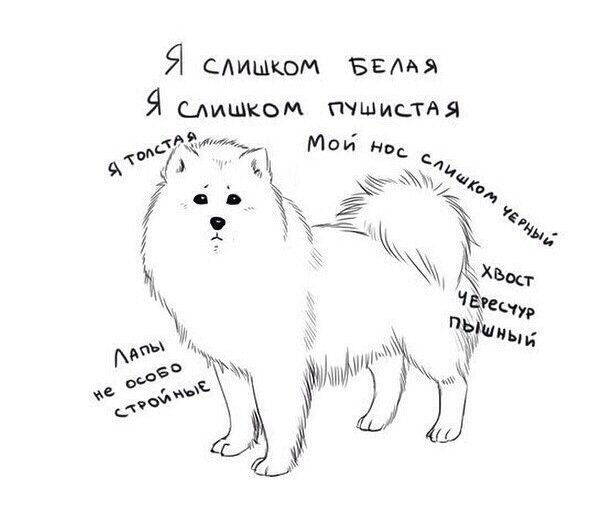 "Самоедство" во всей красе :) Изображение взято из открытых источников и отредактировано мной.