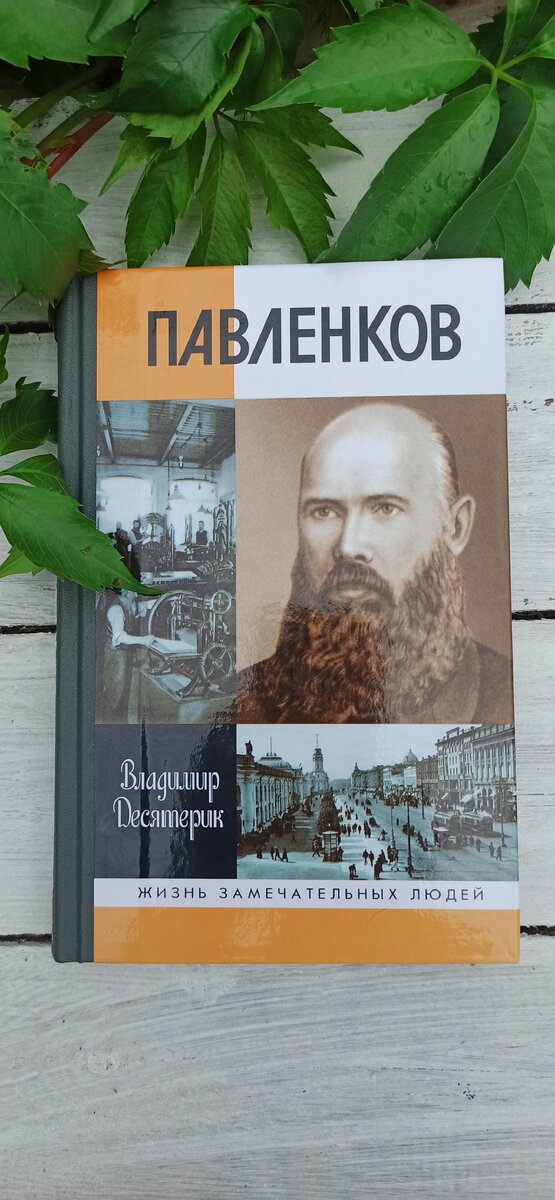 Десятерик В.И. "Павленков", Москва, Молодая Гвардия, 2008,  фото автора канала