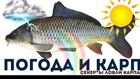 Особенности ночной ловли карпа - АКИ-TV