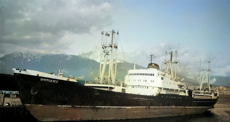 Яндекс картинки. Свободный доступ.