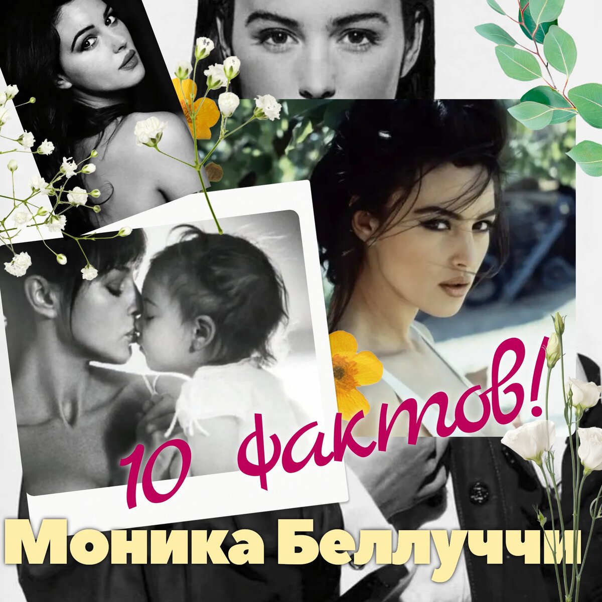 Коллаж автора канала. 