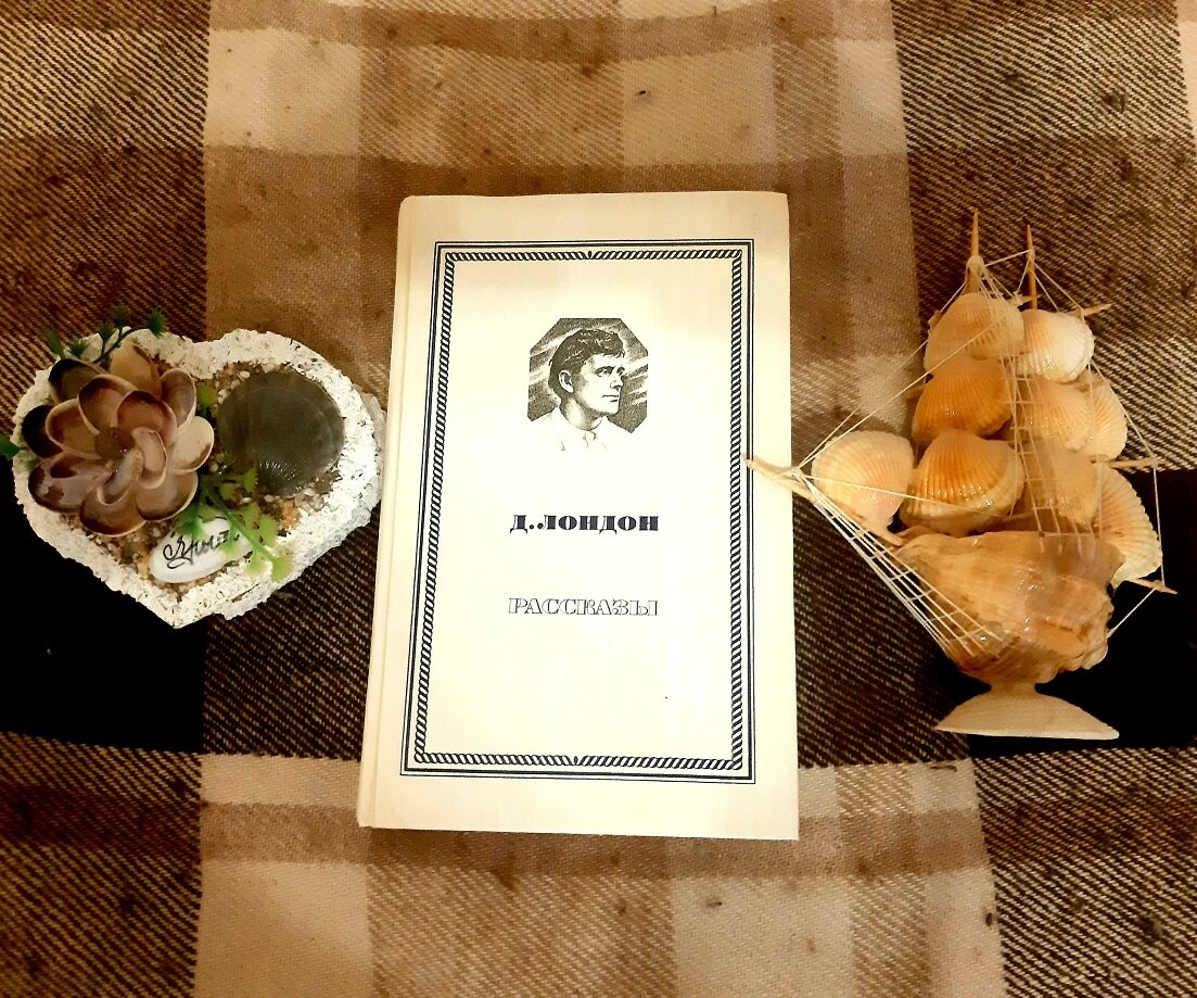 Приключения и покорения новых земель