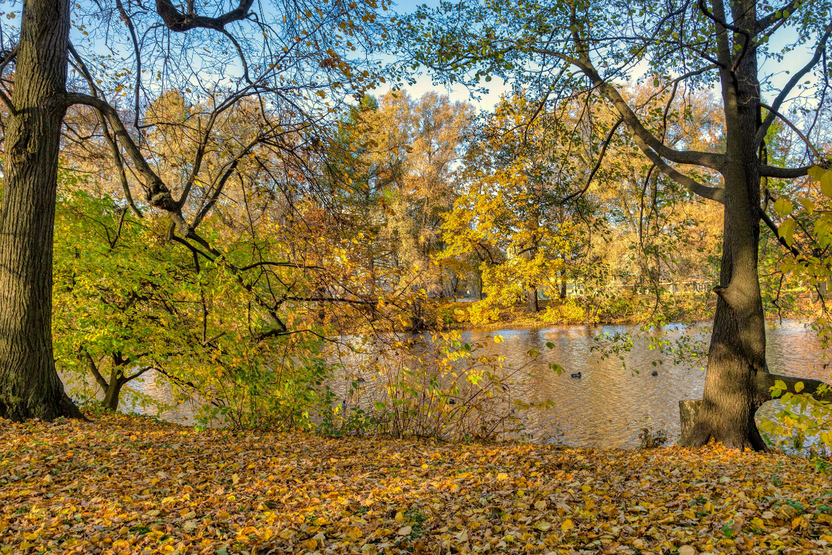Фото Александра Дроздова