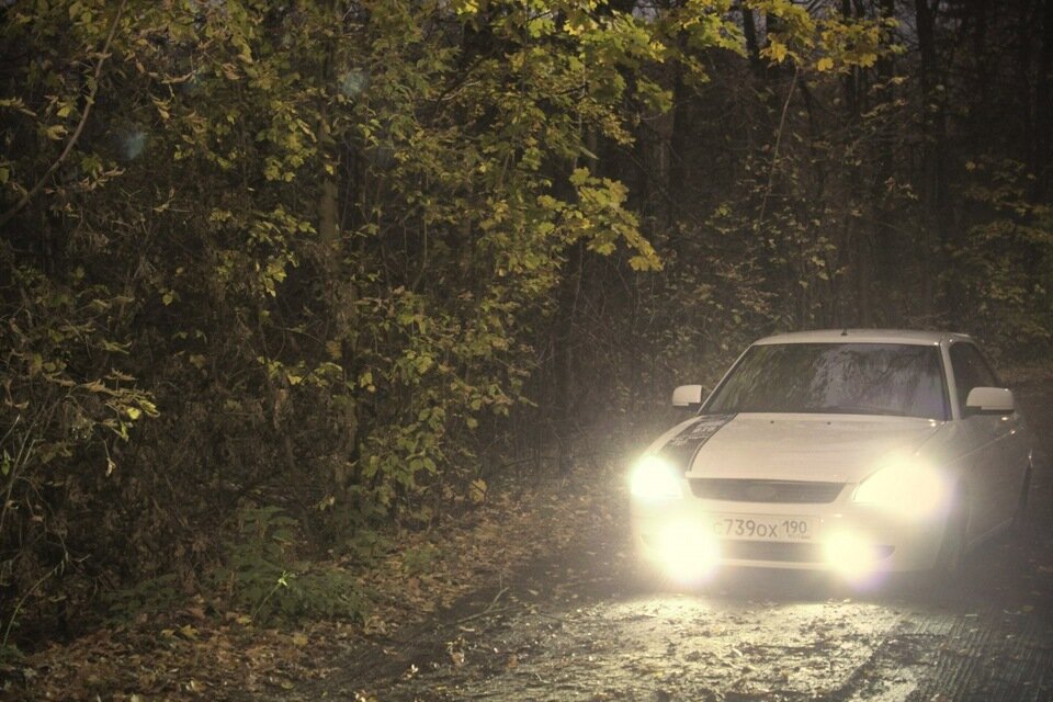                                                       фото яндекс картинки