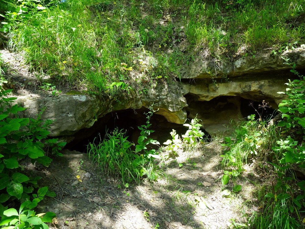 Яндекс картинки, свободный доступ