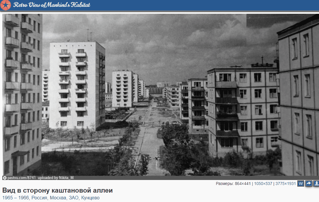 Половина 60. Хрущевки в 1960е Кунцево. Хрущевки 60е. Хрущевки 1950. Кунцево хрущевки.