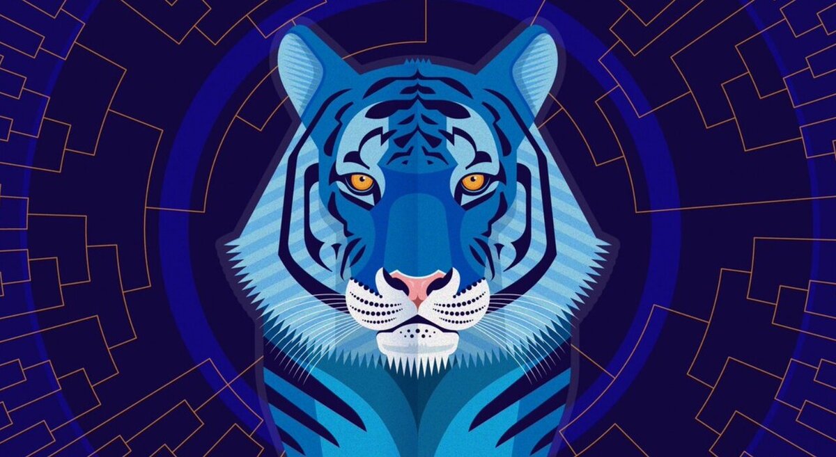 Картинка из открытого источника