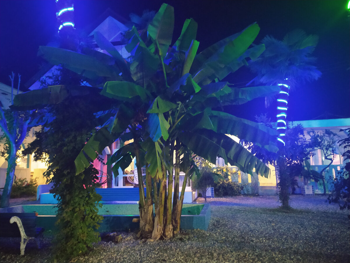 Фото автора Мини-отель Бунгало.